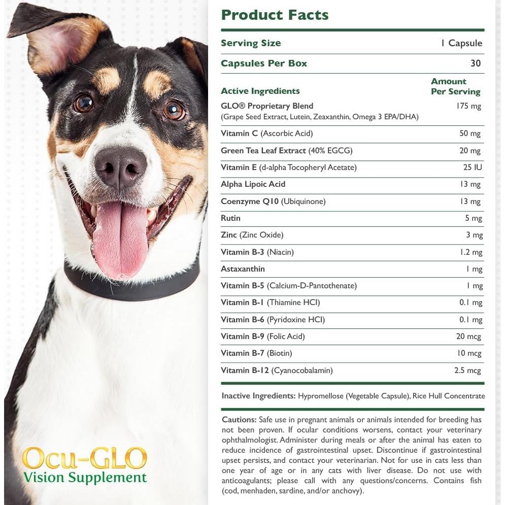 Suplemento Ocu-GLO PB para Visión de Perros y Gatos - 30 Cápsulas