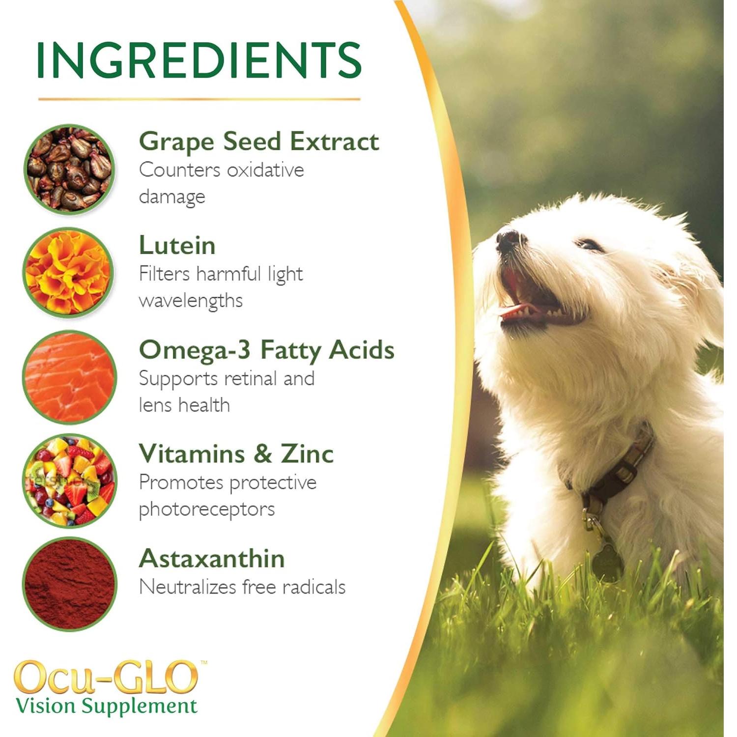 Suplemento Ocu-GLO PB para Visión de Perros y Gatos - 30 Cápsulas