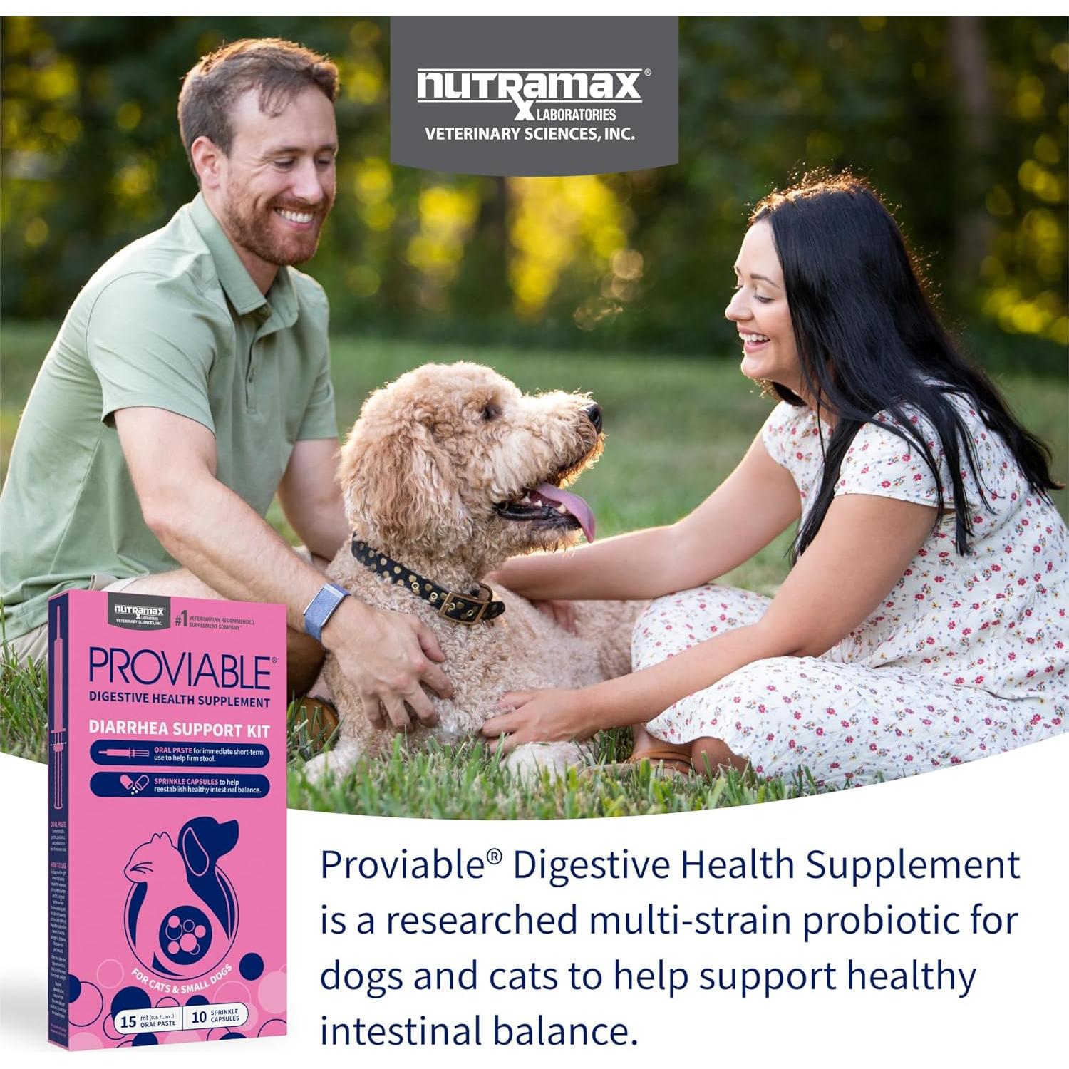 Nutramax Proviable Probióticos para Perros y Gatos - Kit Digestivo