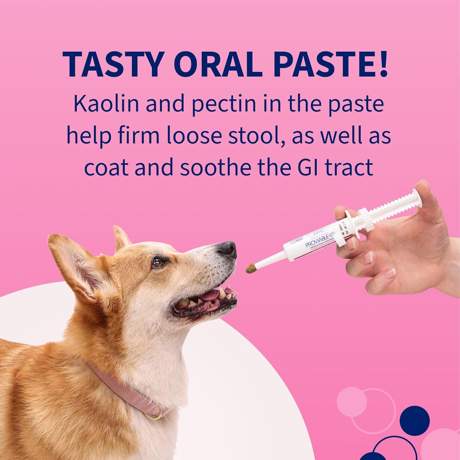 Nutramax Proviable Probióticos para Perros y Gatos - Kit Digestivo