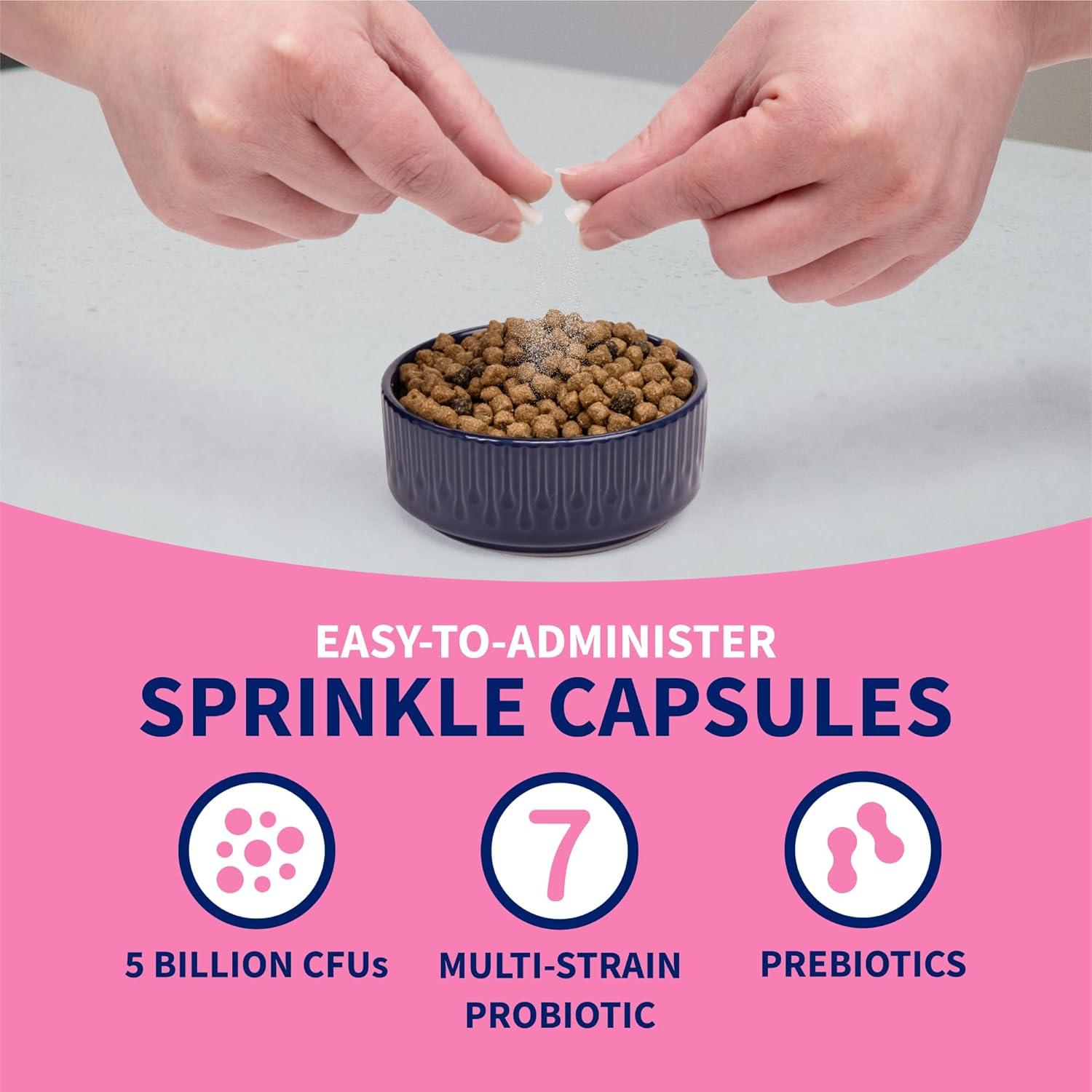 Nutramax Proviable Probióticos para Perros y Gatos - Kit Digestivo