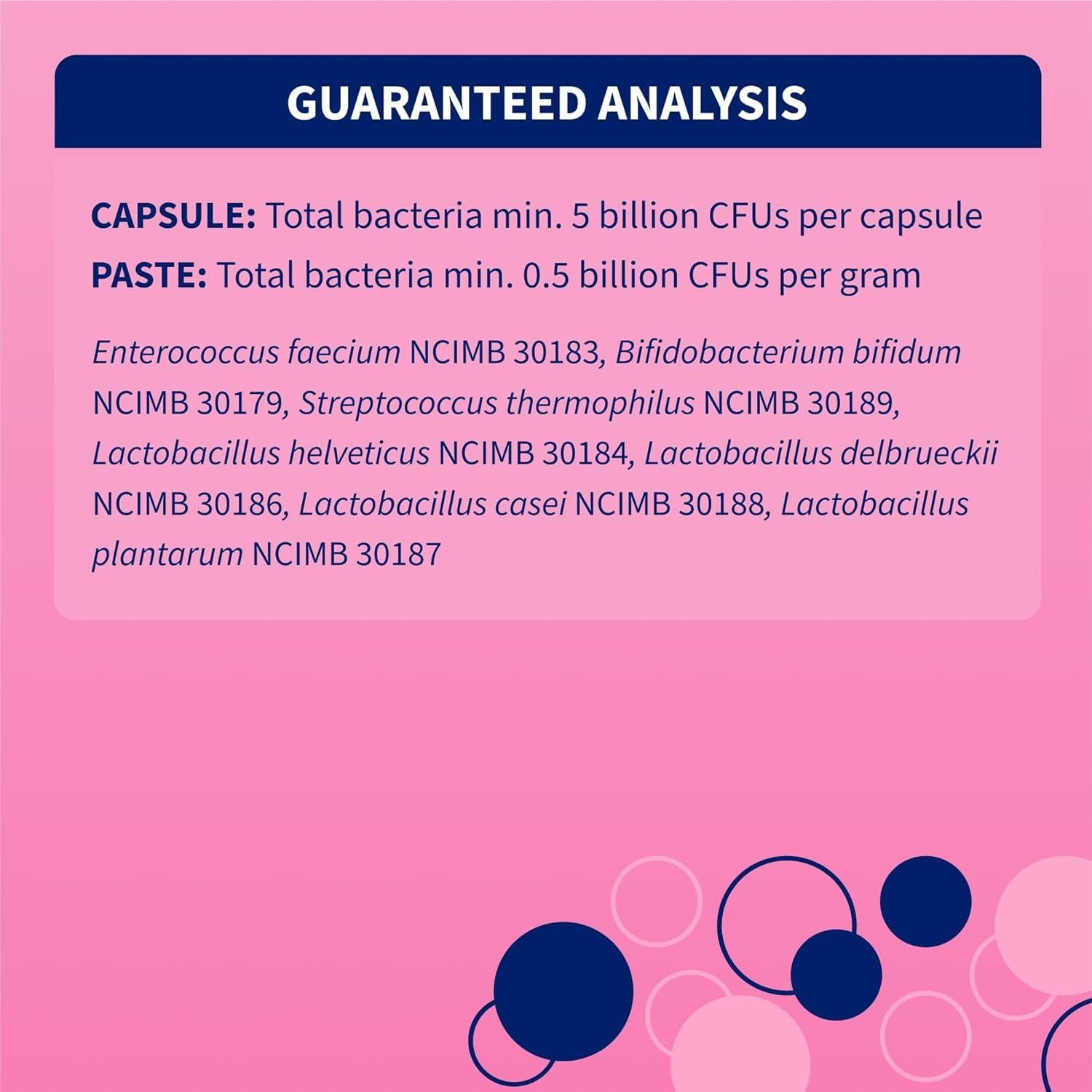 Nutramax Proviable Probióticos para Perros y Gatos - Kit Digestivo