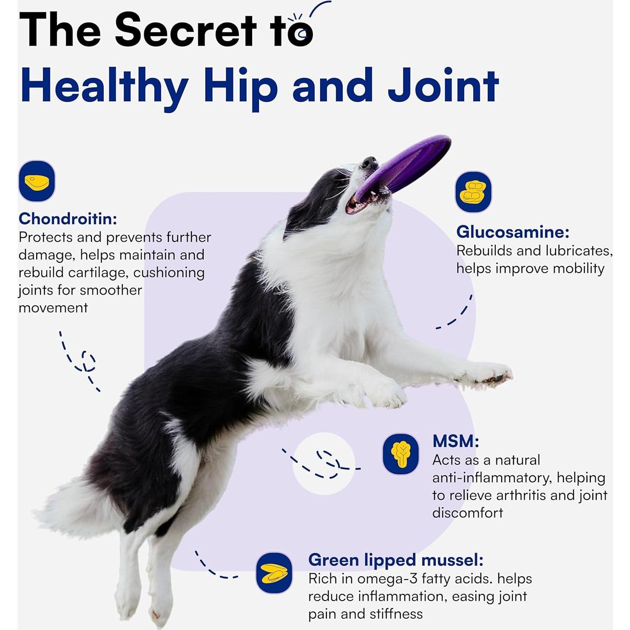 Suplemento Articular para Perros Boops - 90 Masticables con Glucosamina y MSM