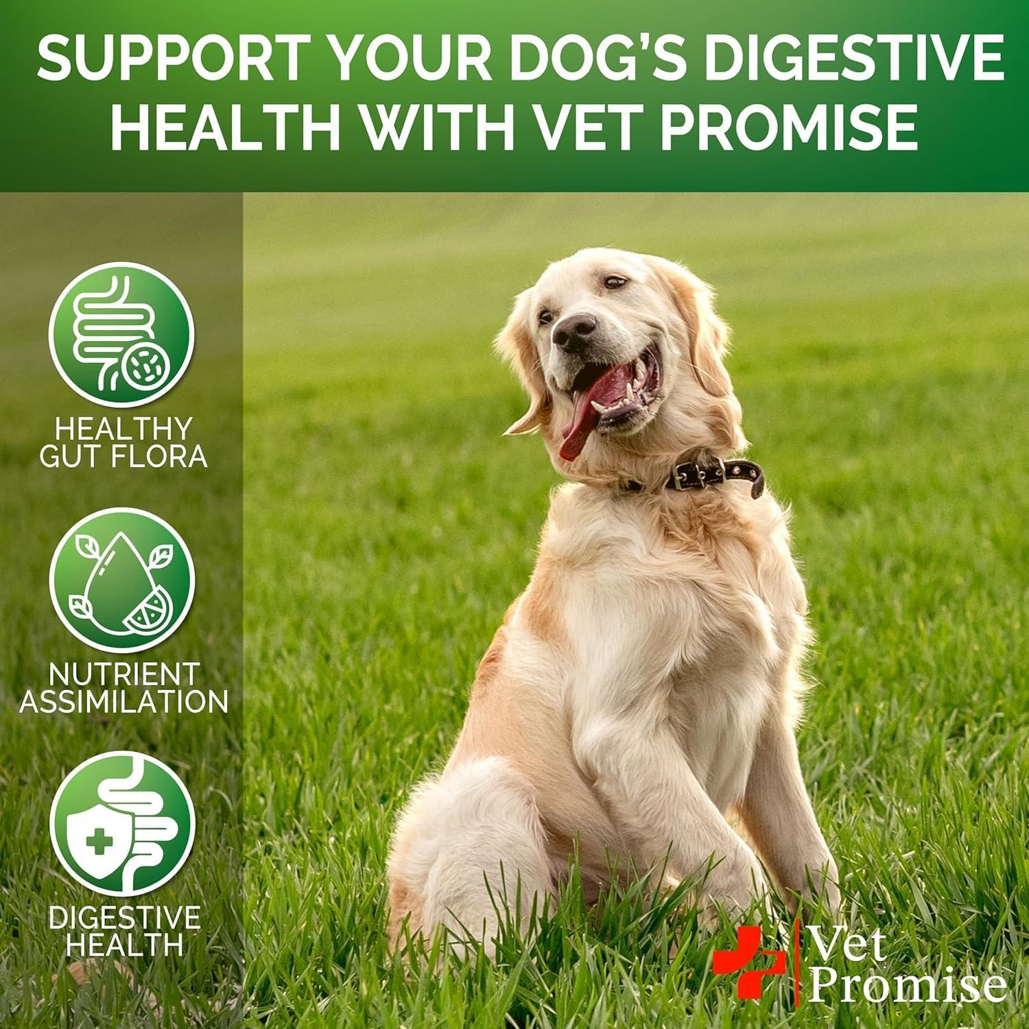 Probioticos para Perros Vet Promise - 240 Masticables Pollo