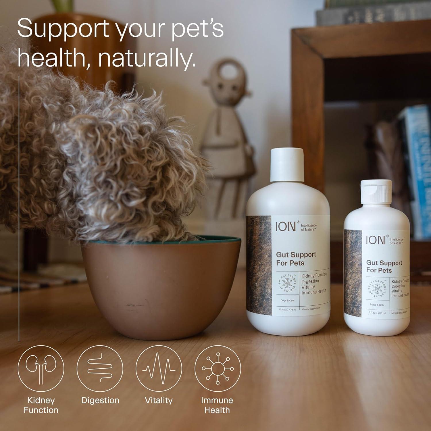 ION Soporte Intestinal para Mascotas 226.8g - Fortalece Digestión y Sistema Inmunológico