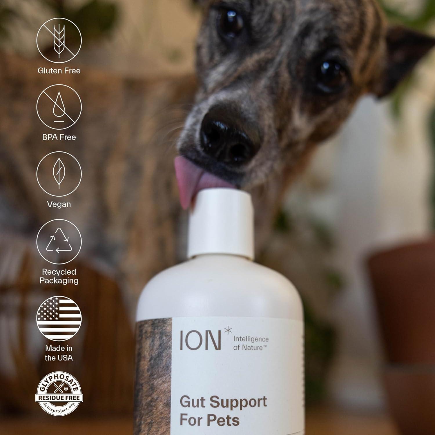 ION Soporte Intestinal para Mascotas 226.8g - Fortalece Digestión y Sistema Inmunológico