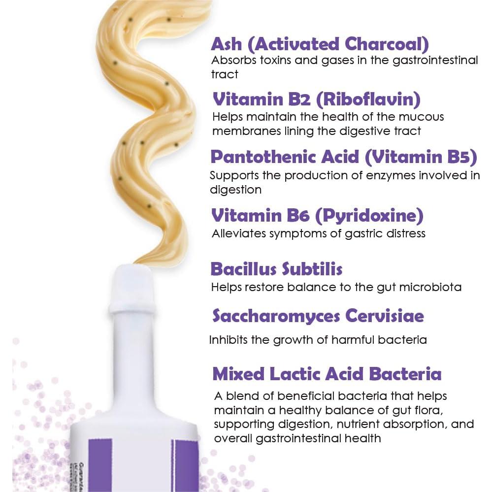 FloraCare G.I. Pasta Suplemento para Perros y Gatos 60 CC