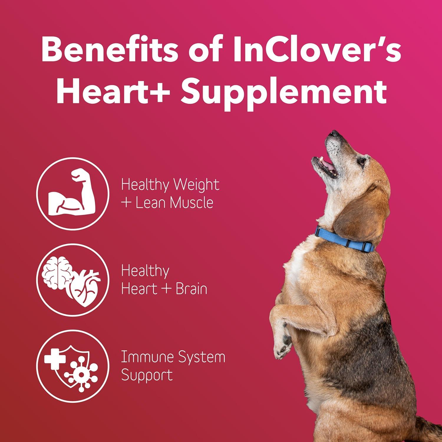 InClover Heart+ Suplemento Cardiaco para Perros y Gatos 99g
