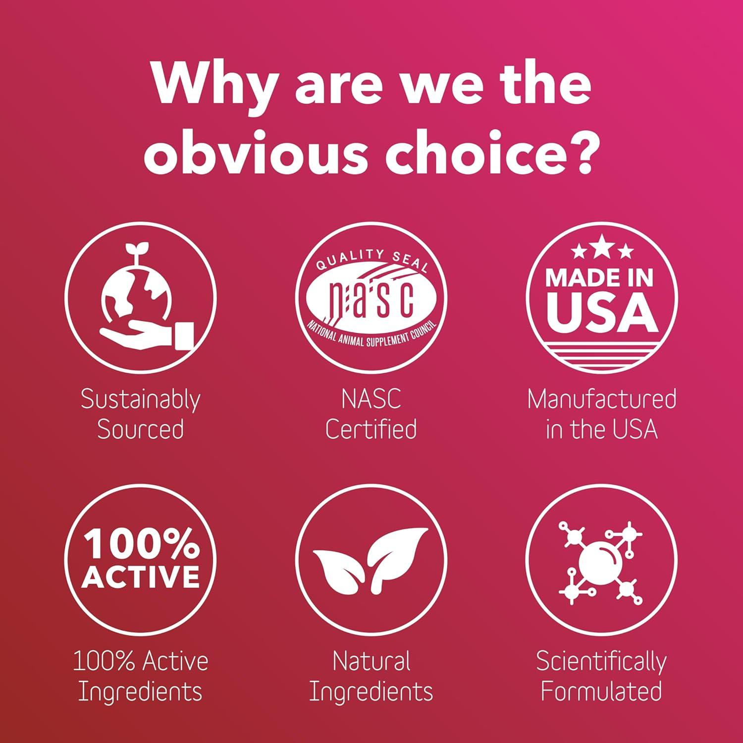 InClover Heart+ Suplemento Cardiaco para Perros y Gatos 99g