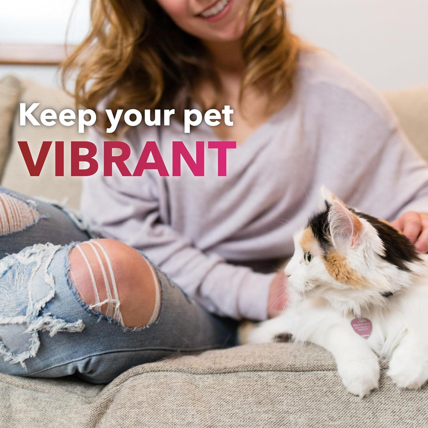 InClover Heart+ Suplemento Cardiaco para Perros y Gatos 99g