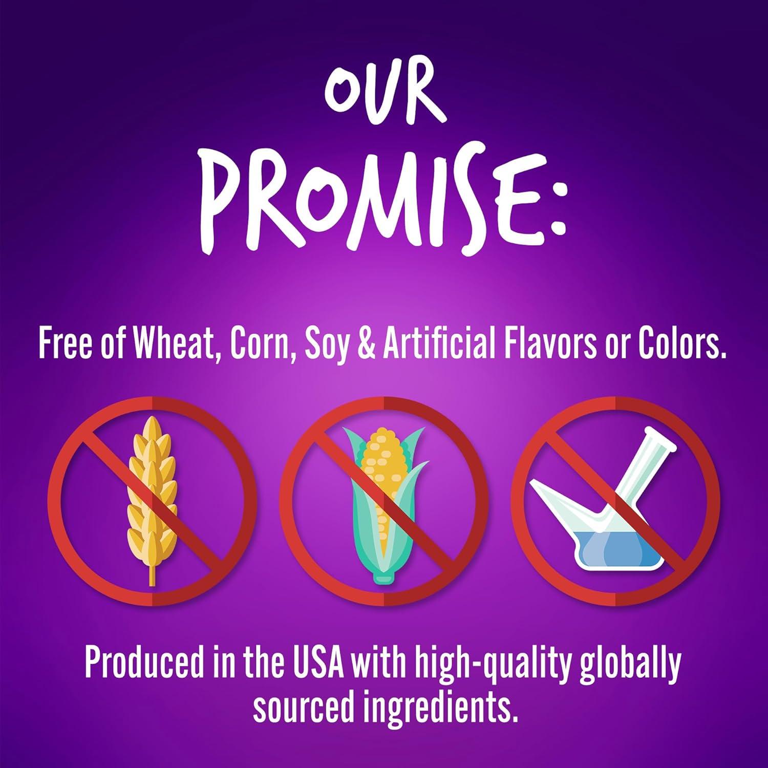 Galletas para Perros Fruitables Calabaza y Arándano 340g