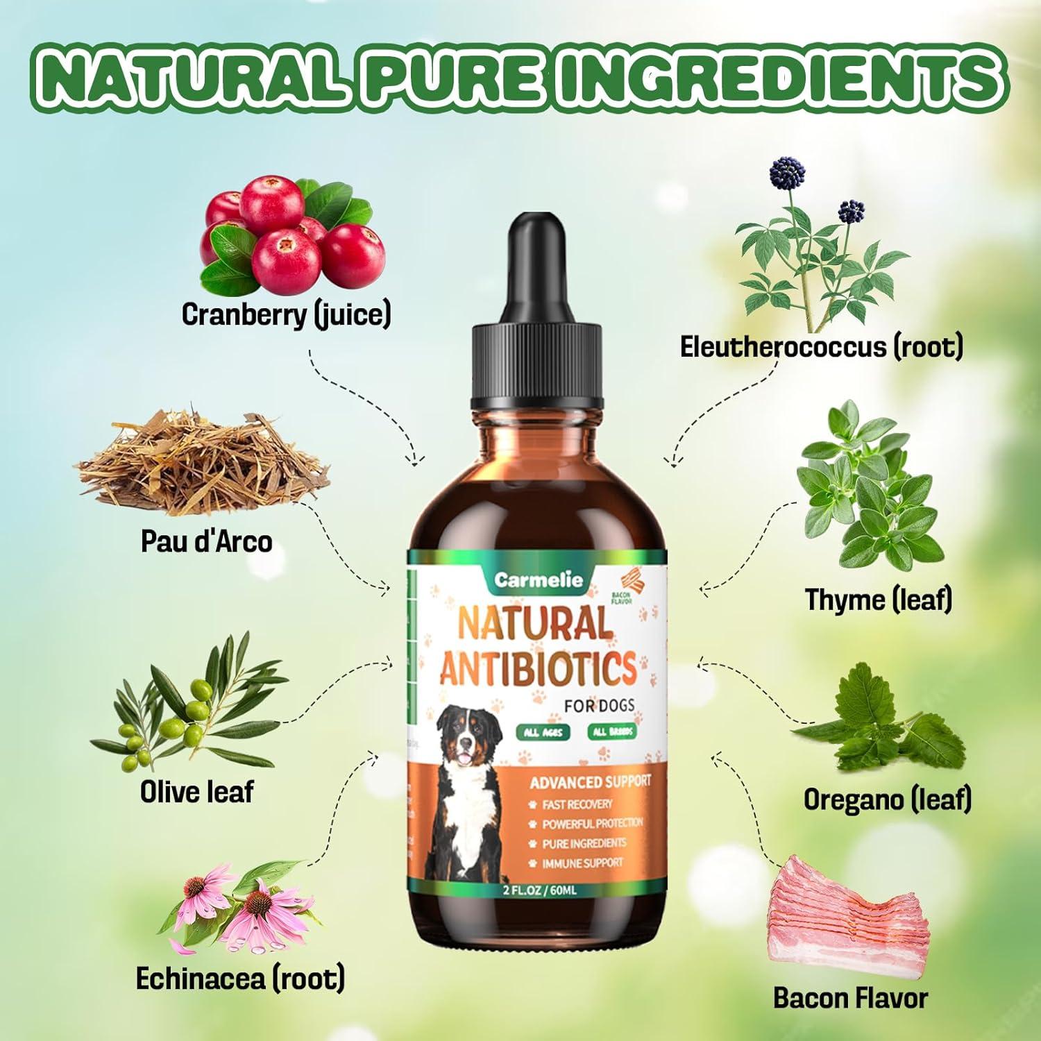 Antibióticos Naturales para Perros Carmelie 60 ml - Salud Piel