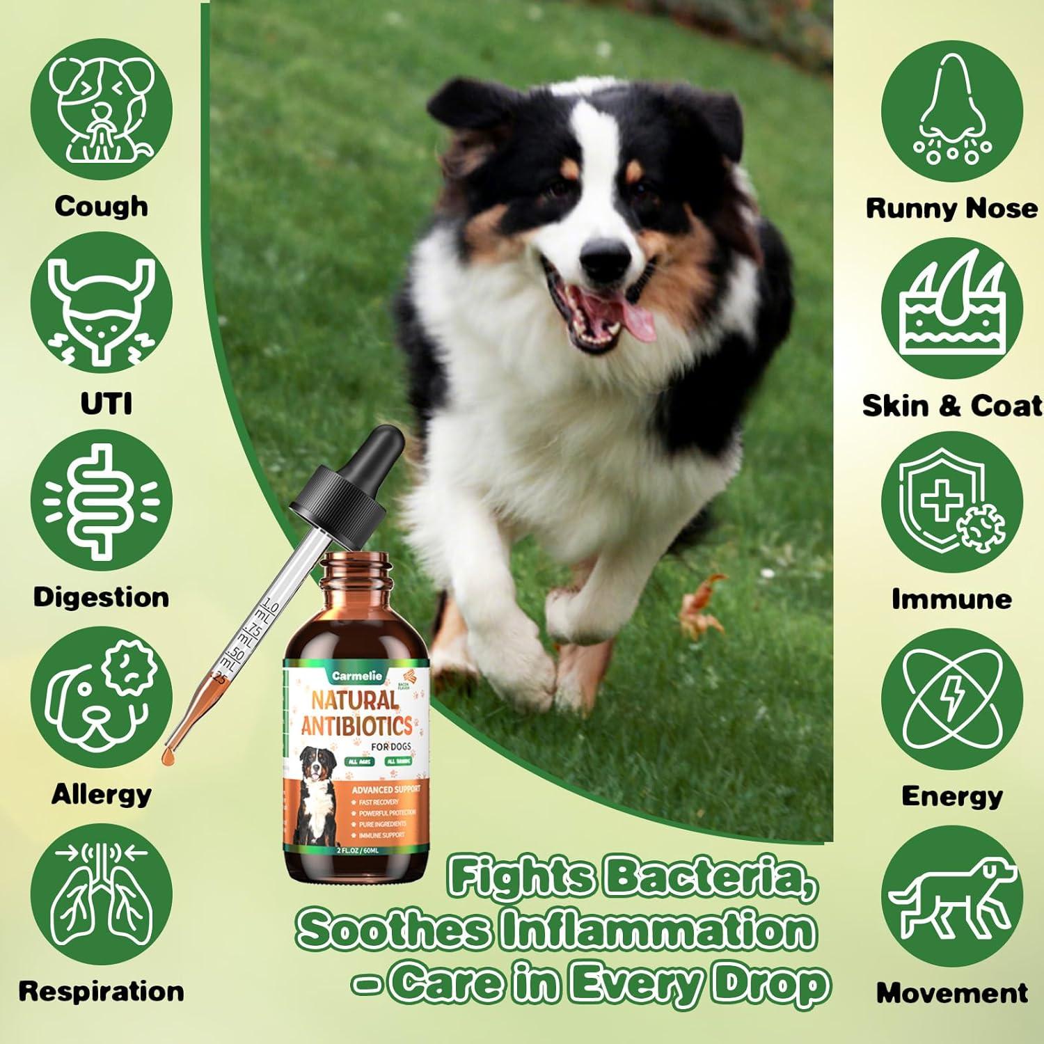 Antibióticos Naturales para Perros Carmelie 60 ml - Salud Piel