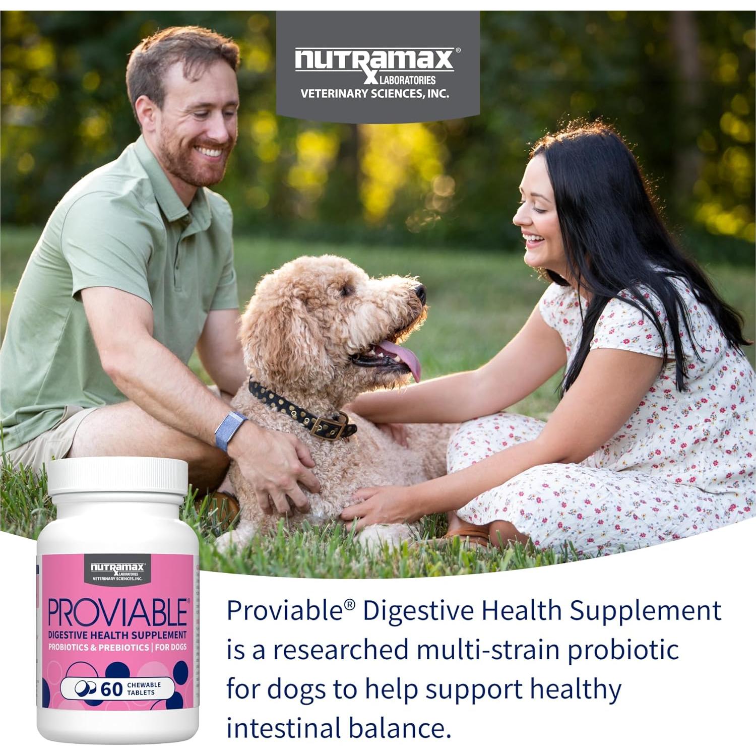 Nutramax Proviable Probióticos para Perros 60 Tabletas Masticables