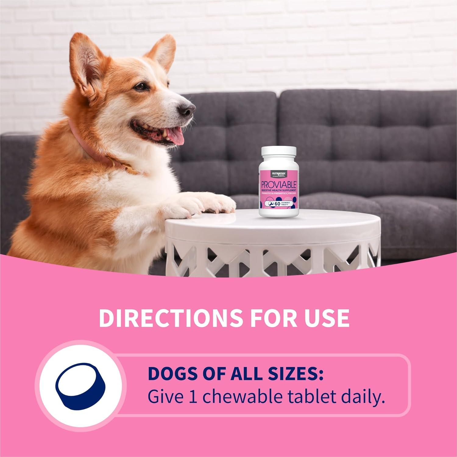 Nutramax Proviable Probióticos para Perros 60 Tabletas Masticables