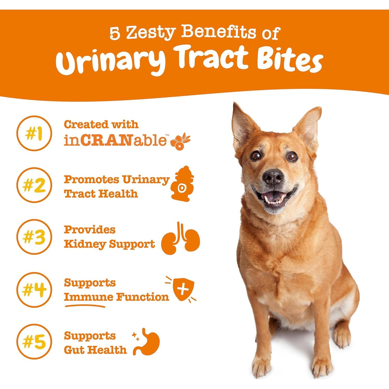 Suplemento de Arándano Zesty Paws para Perros - Control de Vejiga - 90 Masticables de Pollo