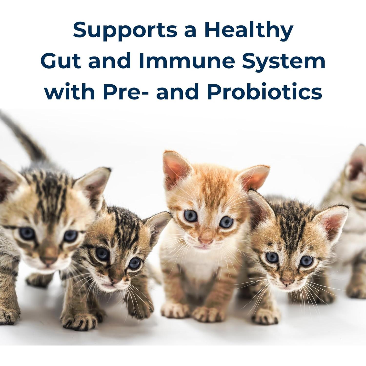 Reemplazo de Leche en Polvo PetAg KMR 170 g para Gatitos