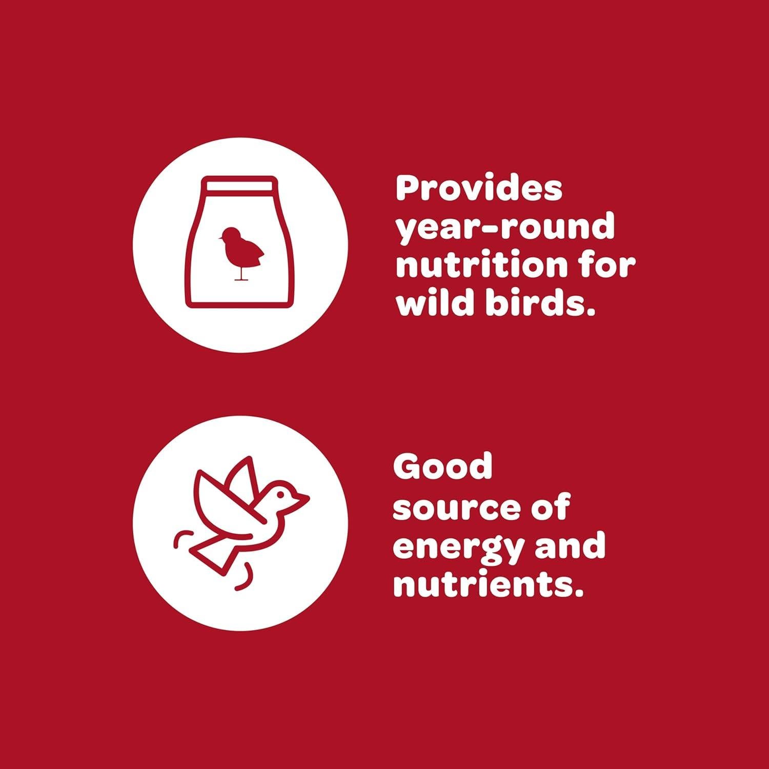 Mezcla de Semillas para Aves Silvestres Kaytee 2.27 kg