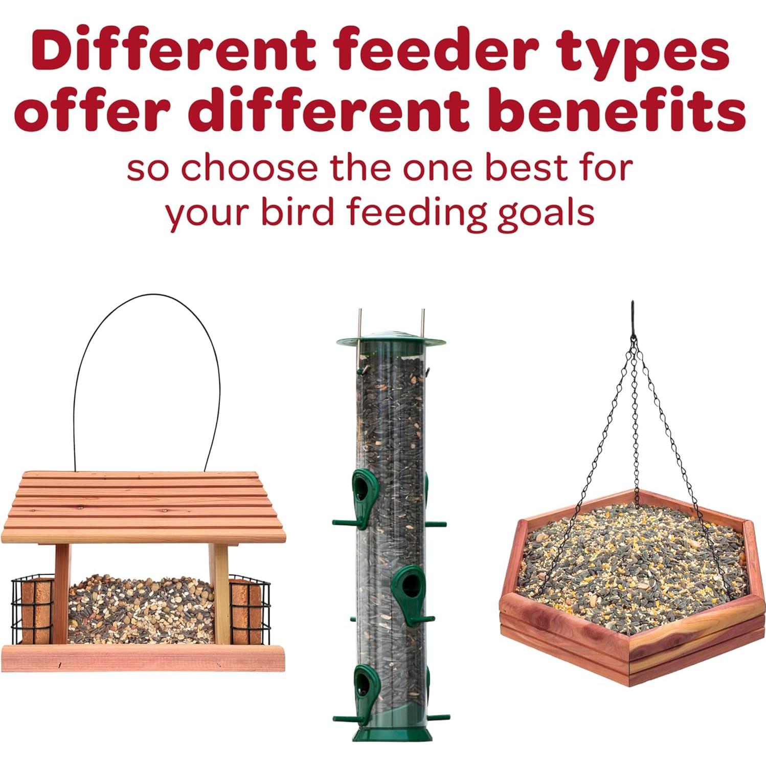 Mezcla de Semillas para Aves Silvestres Kaytee 2.27 kg