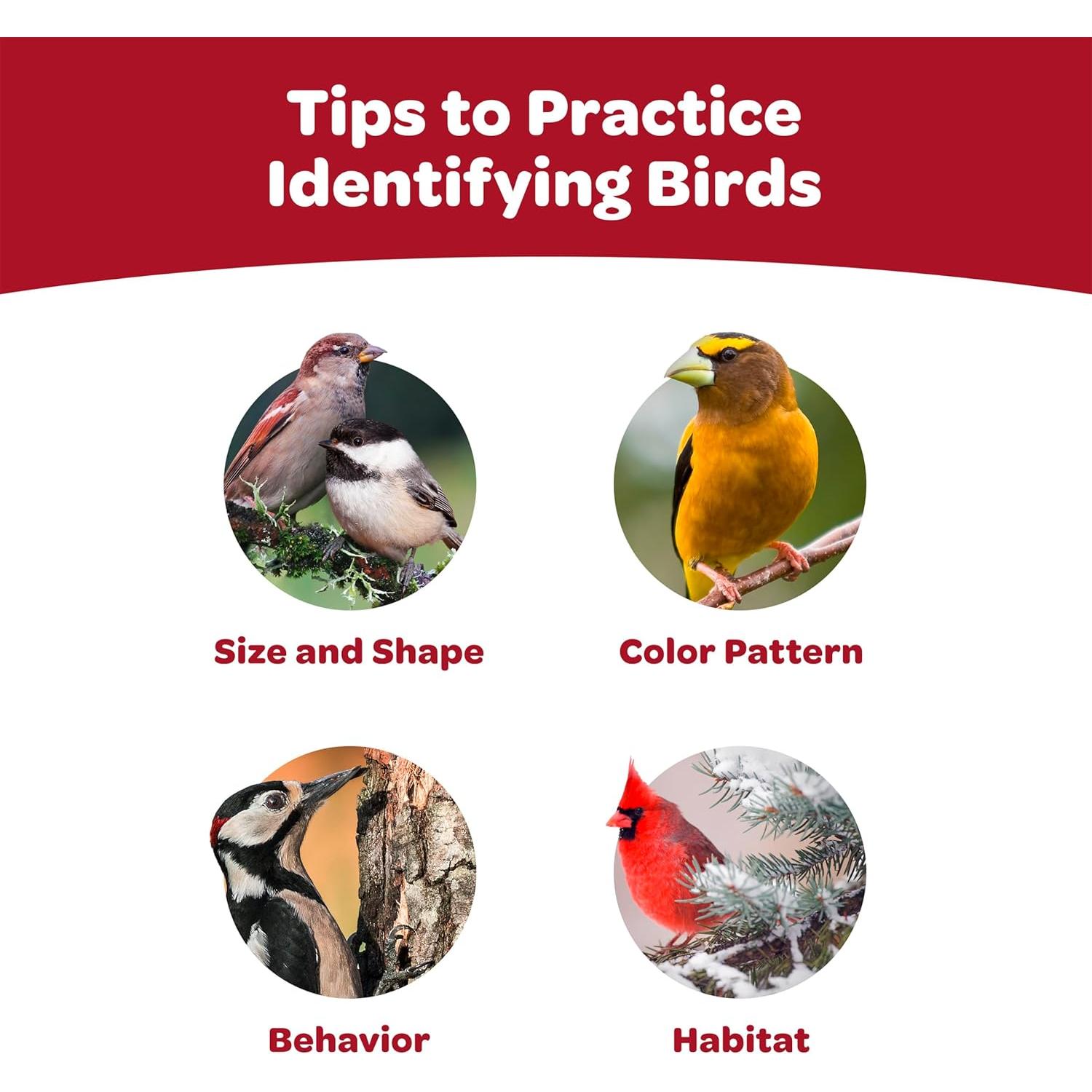 Mezcla de Semillas para Aves Silvestres Kaytee 2.27 kg