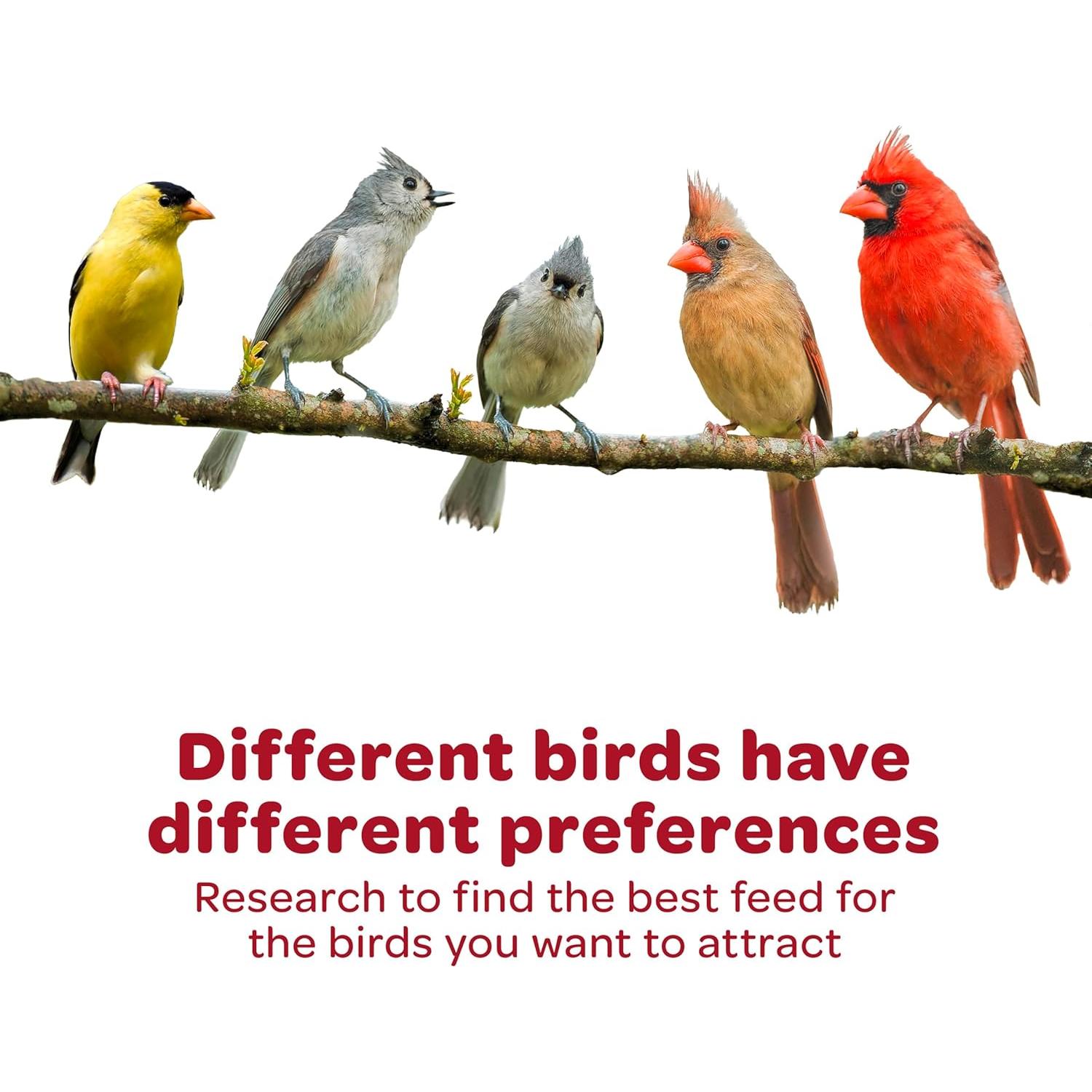 Mezcla de Semillas para Aves Silvestres Kaytee 2.27 kg