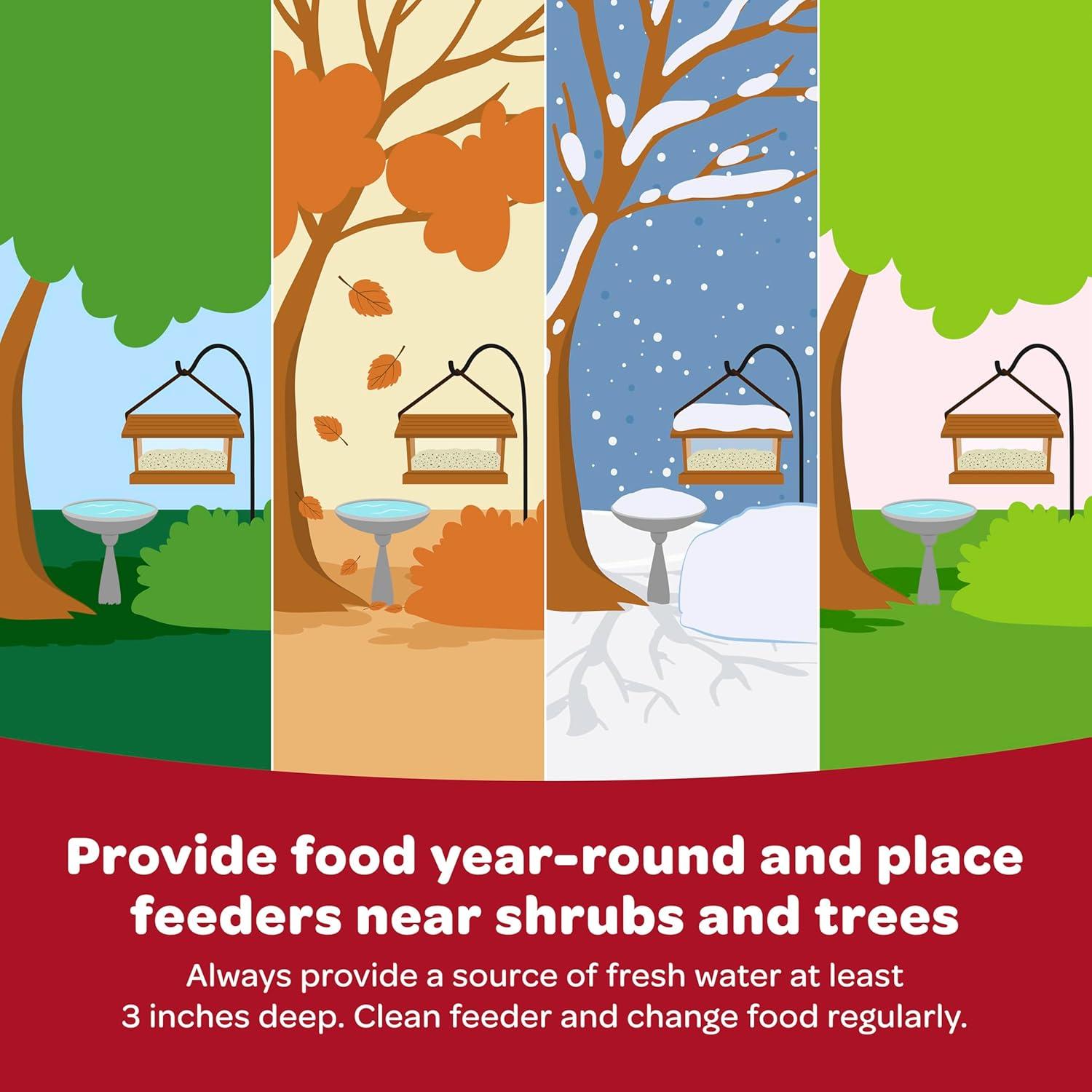 Mezcla de Semillas para Aves Silvestres Kaytee 2.27 kg