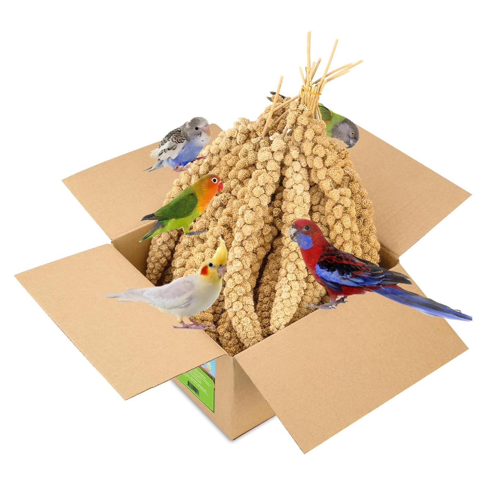 Spray de Mijo 2kg HATORTOP para Aves - Natural y Nutritivo