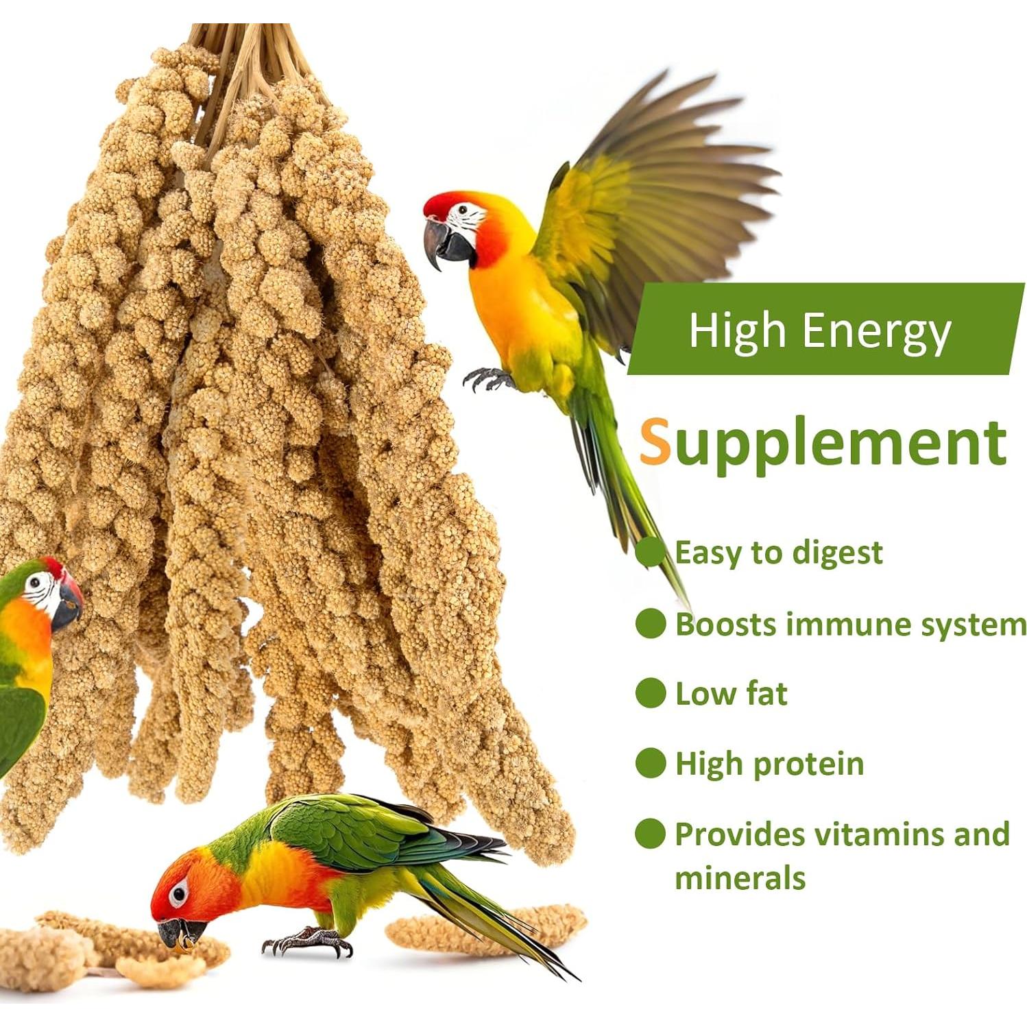 Spray de Mijo 2kg HATORTOP para Aves - Natural y Nutritivo