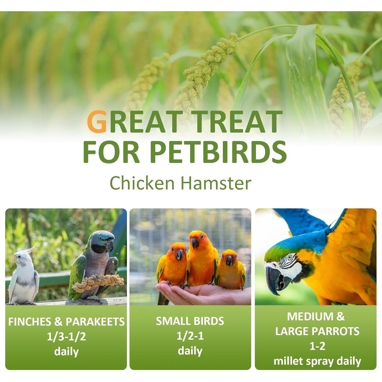 Spray de Mijo 2kg HATORTOP para Aves - Natural y Nutritivo