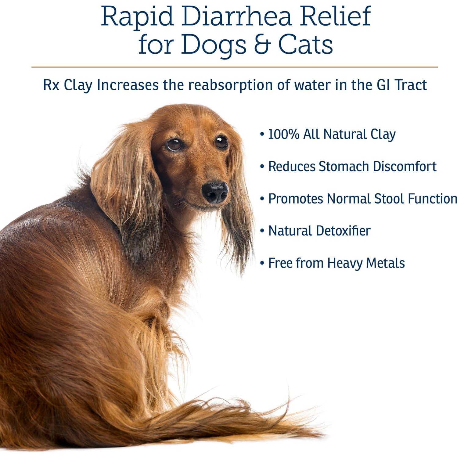 Polvo de Arcilla Comestible Rx Vitamins 100g - Anti Diarrea y Gases