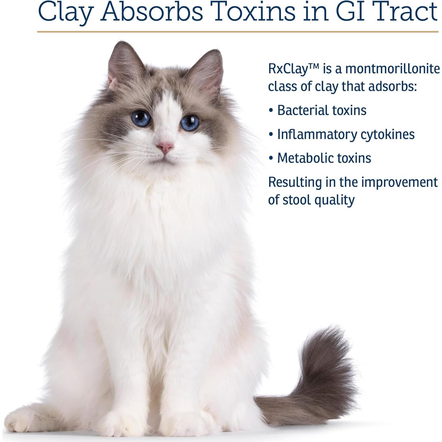 Polvo de Arcilla Comestible Rx Vitamins 100g - Anti Diarrea y Gases