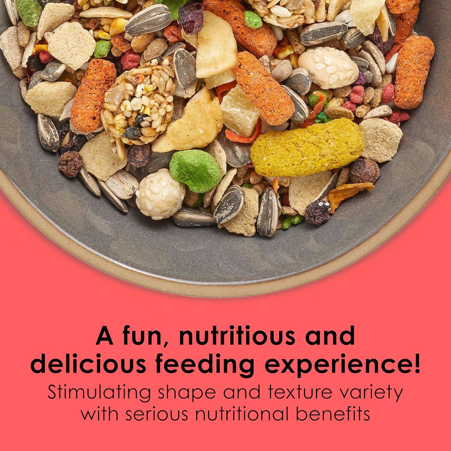 Comida para Conures Kaytee Fiesta 2.04 kg - Nutrición Completa