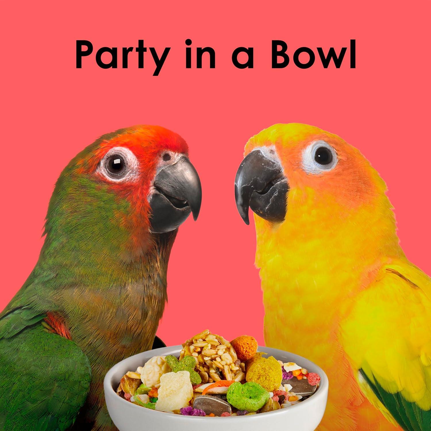 Comida para Conures Kaytee Fiesta 2.04 kg - Nutrición Completa