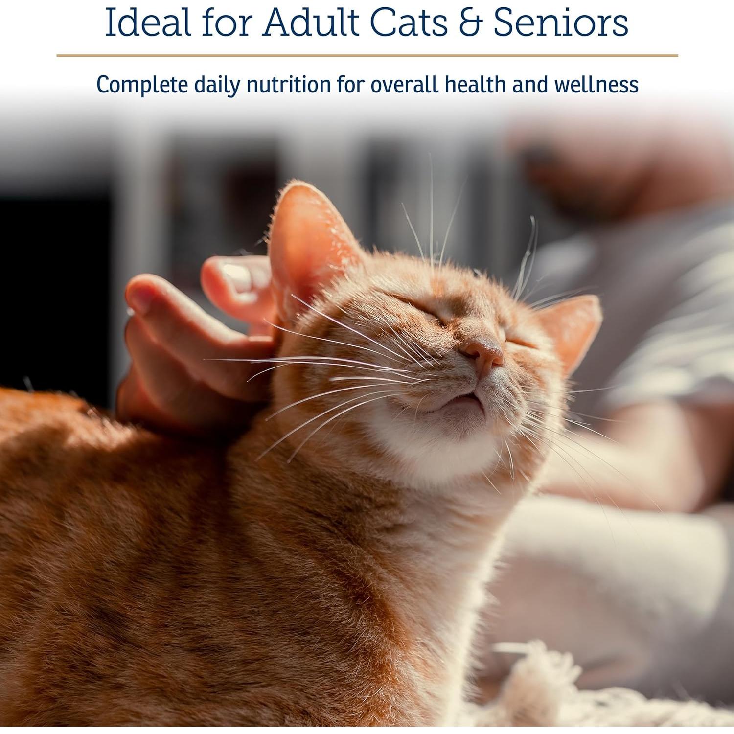 Suplemento Multivitamínico para Gatos Rx Vitamins 113g