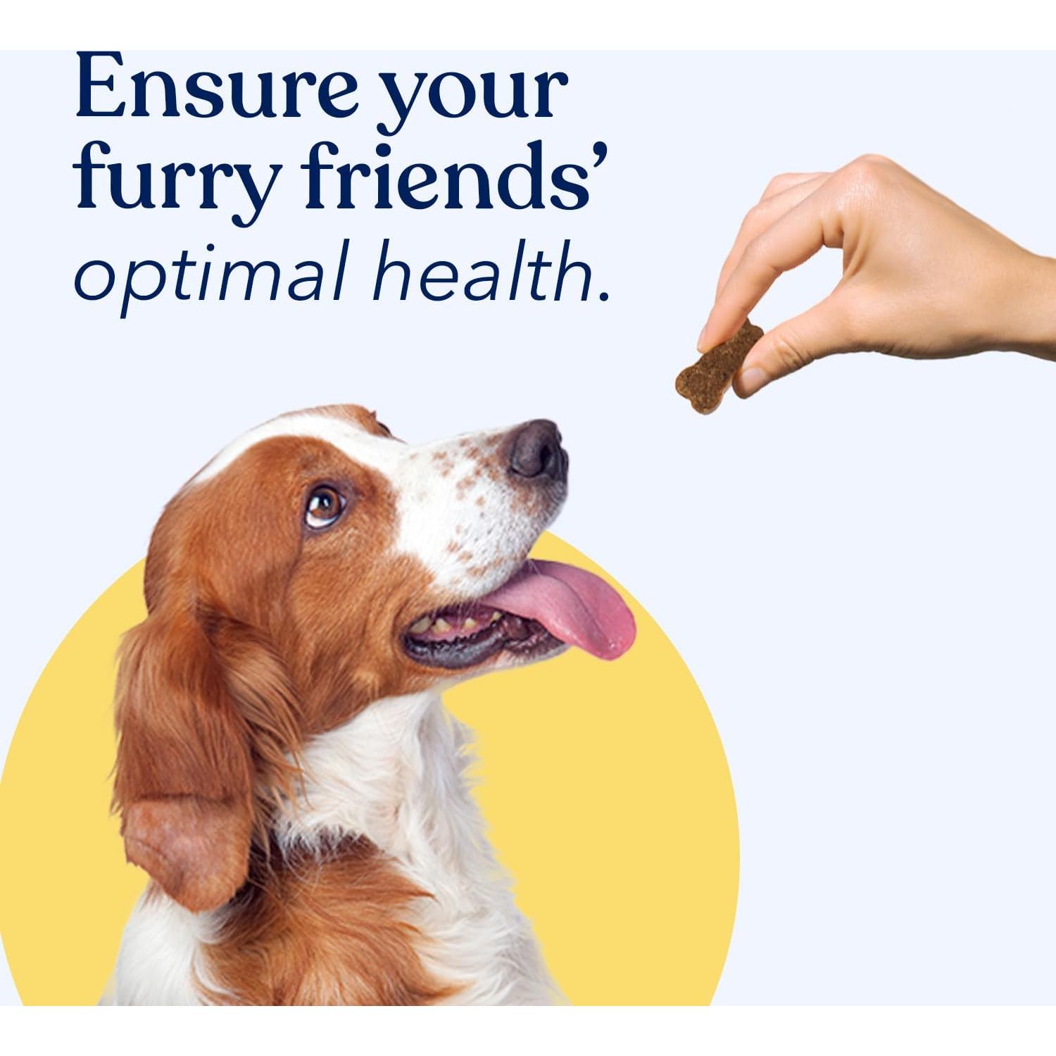 Suplemento Multivitamínico para Perros Patas Honestas 270g