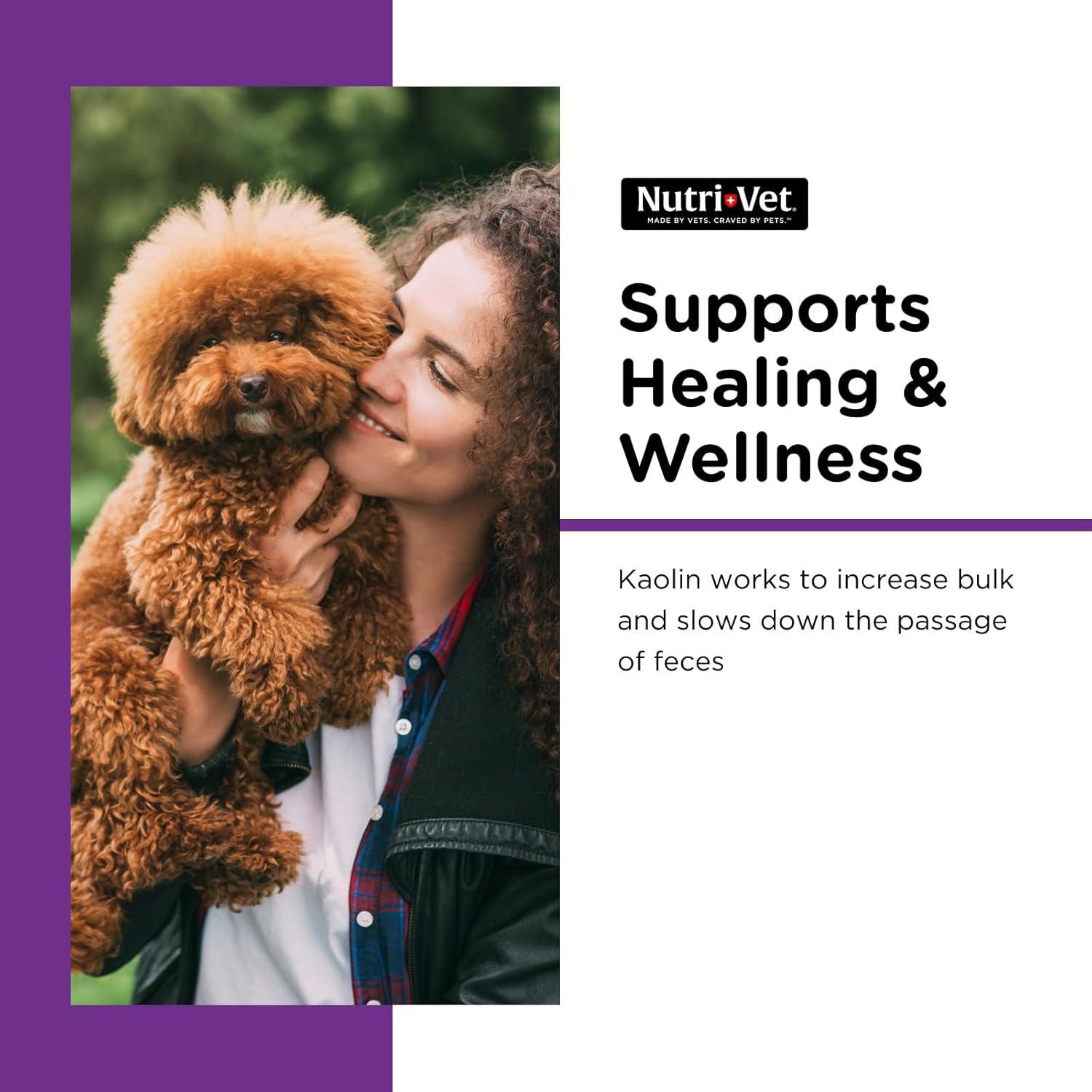 Nutri-Vet Líquido Anti-Diarrea para Perros 118ml - Salud Digestiva