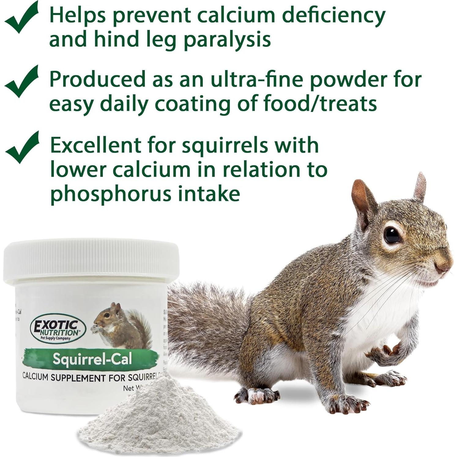 Suplemento de Calcio en Polvo Squirrel-Cal Exotic Nutrition 99 g