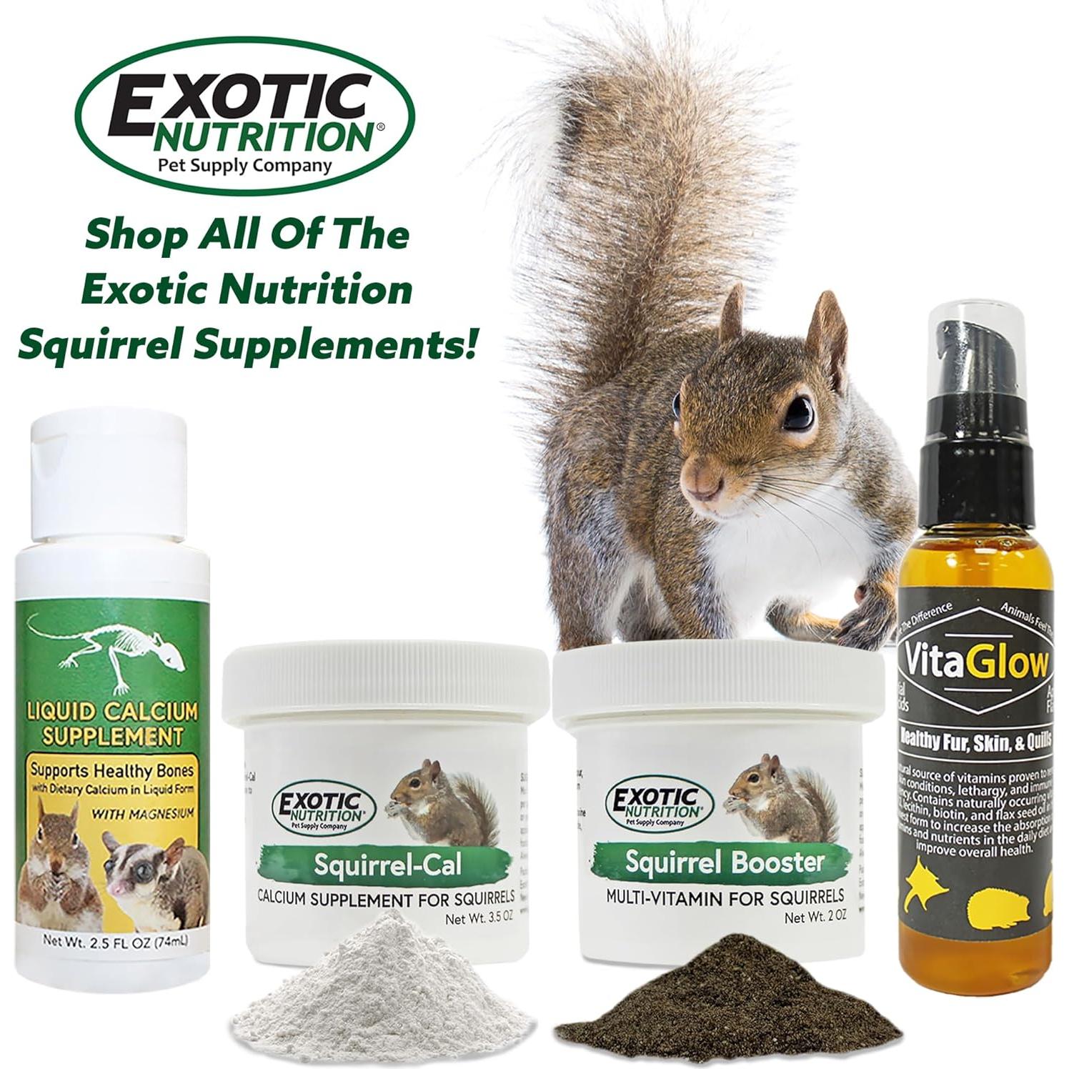 Suplemento de Calcio en Polvo Squirrel-Cal Exotic Nutrition 99 g