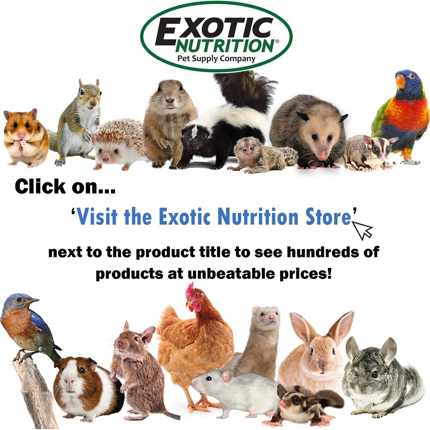 Suplemento de Calcio en Polvo Squirrel-Cal Exotic Nutrition 99 g