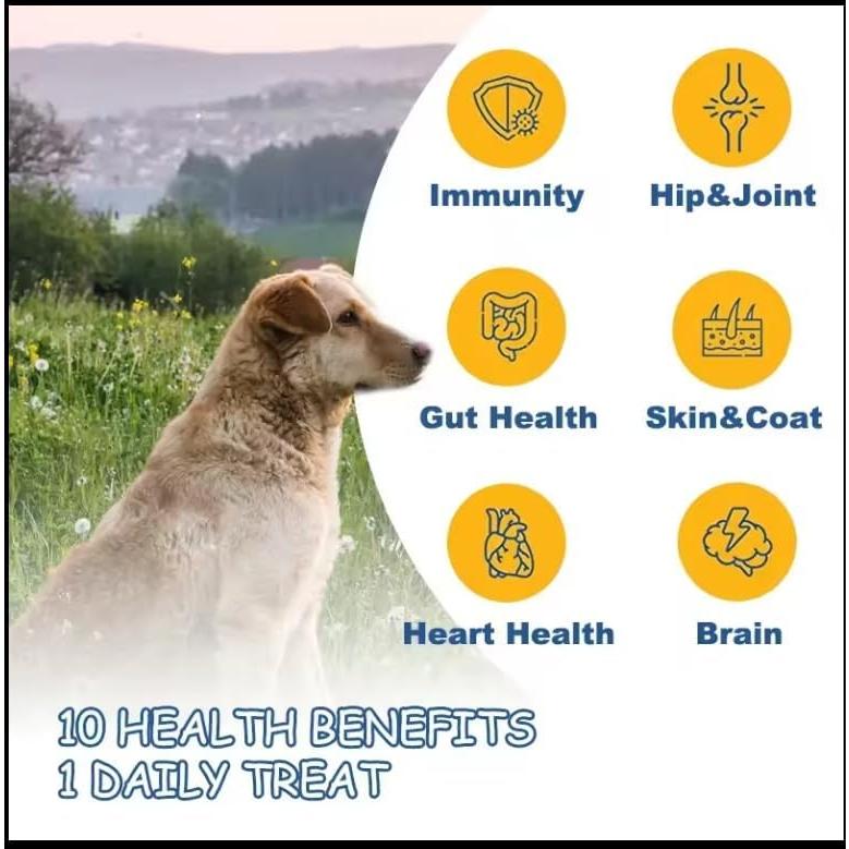 Gotas de Vitamina B-12 para Perros y Gatos Higgies - 59.15 ml