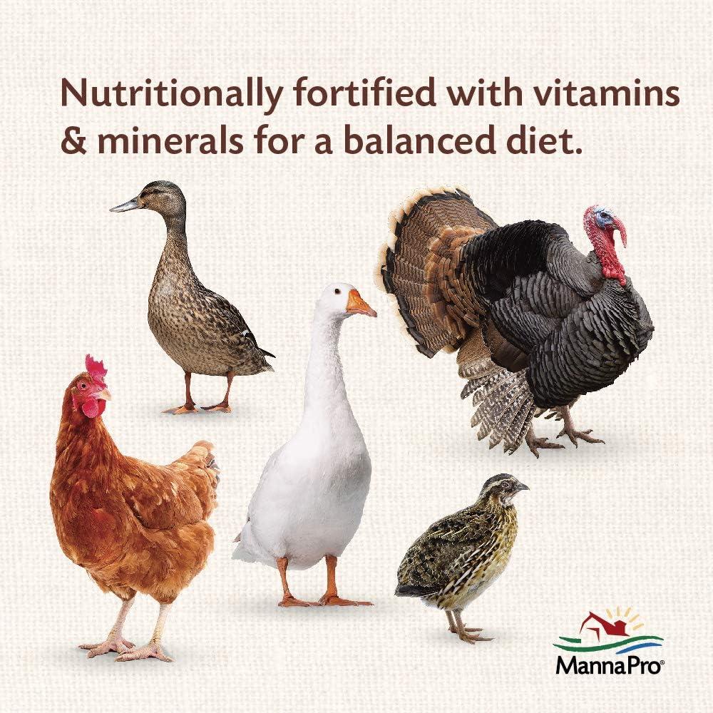 Alimento para Aves Manna Pro All Flock 3.63 kg - 16% Proteína