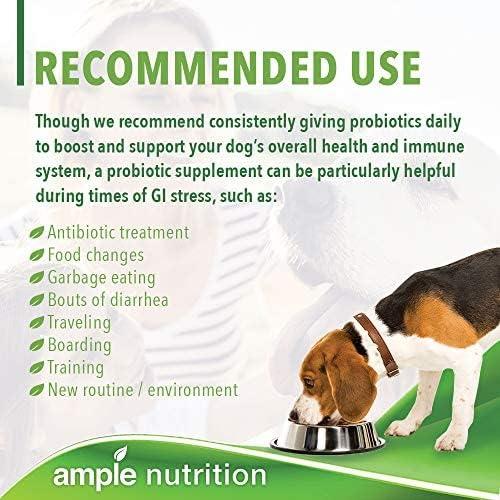 Ample Nutrition Prebiótico y Probiótico para Perros y Gatos 60 Perlas