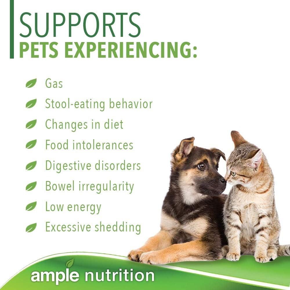 Enzimas Digestivas Ample Nutrition para Perros y Gatos 200g