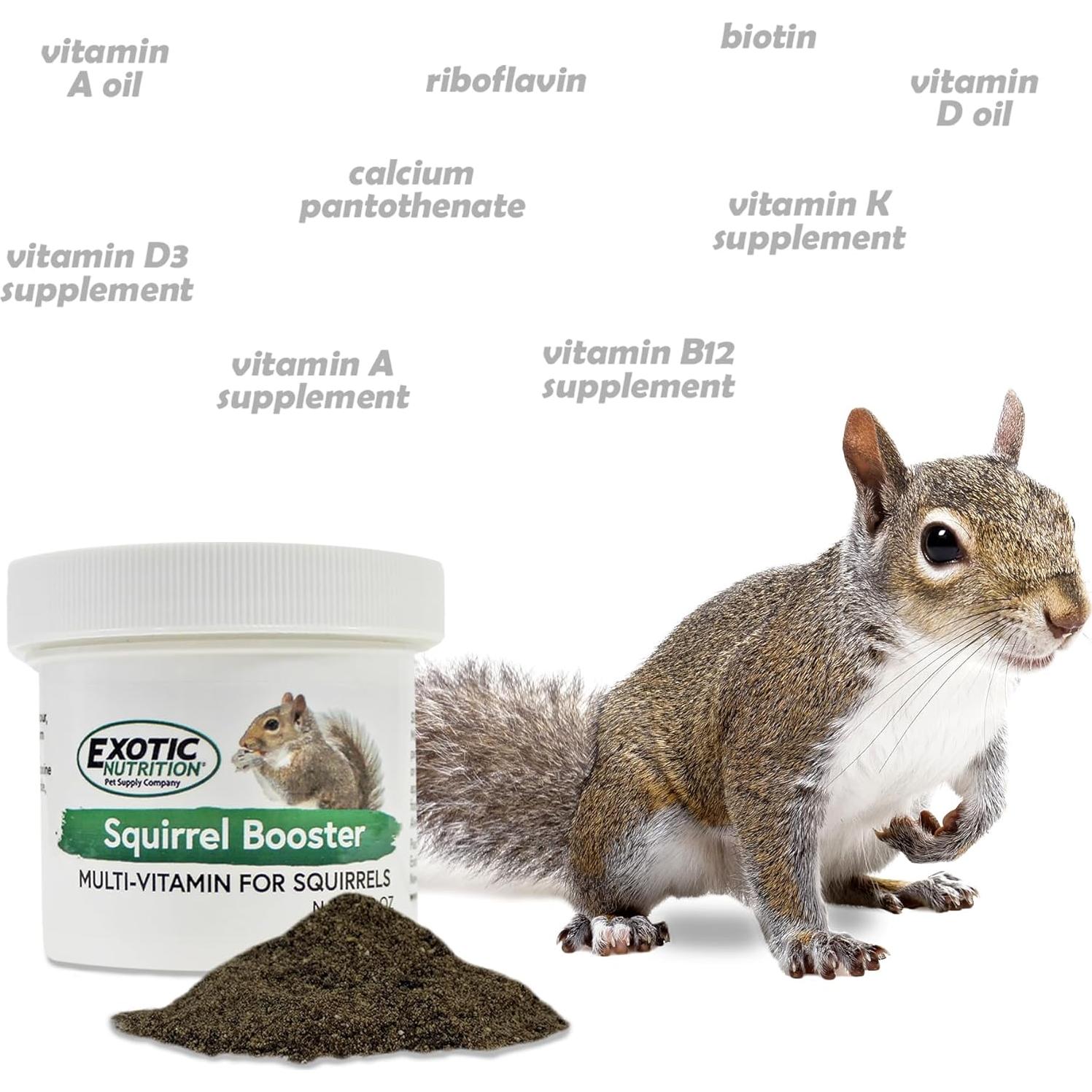 Acelerador de Ardilla Exotic Nutrition 56.7 g - Multivitamínico Completo