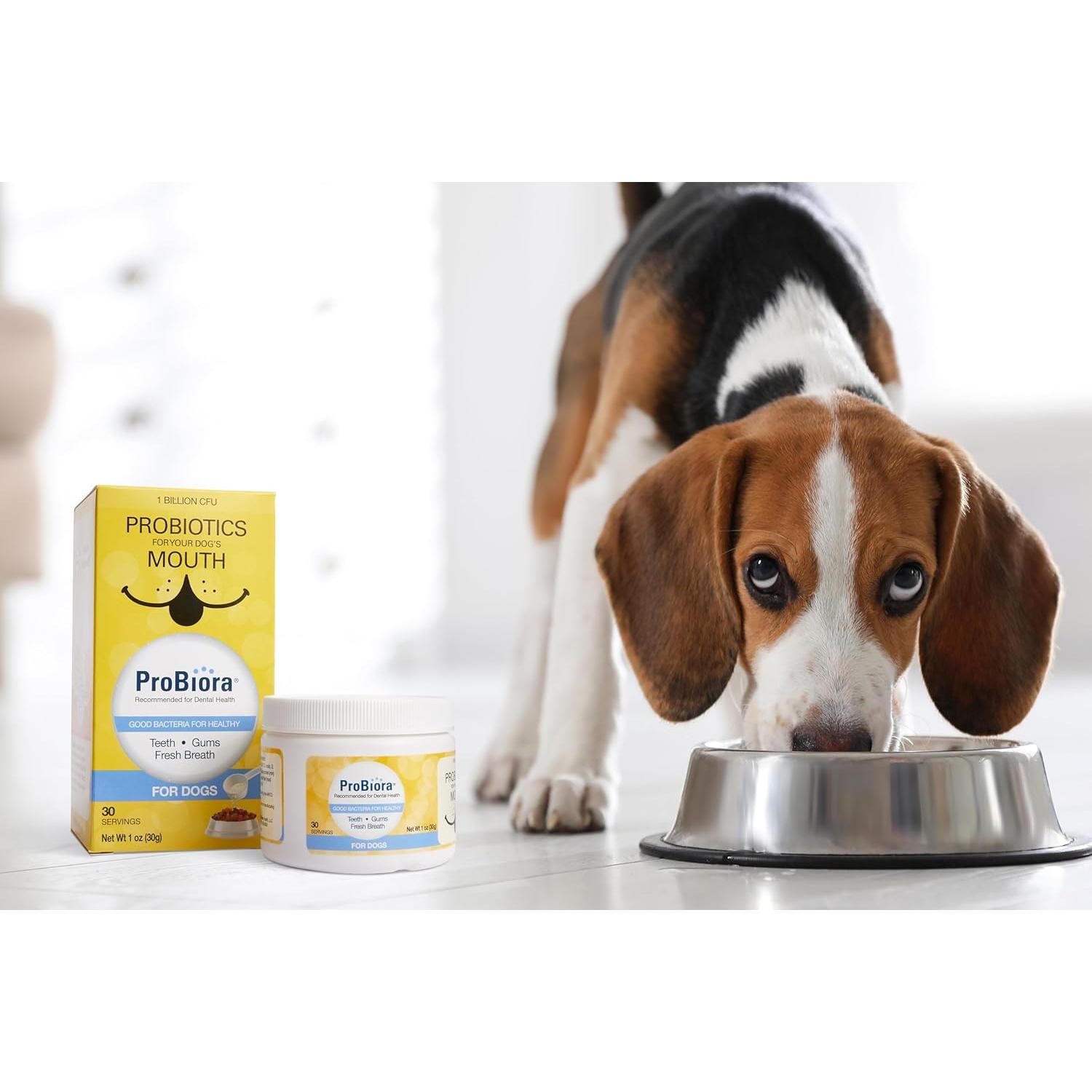 ProBiora para Perros | Suplemento Probiótico Dental | 30 Porciones