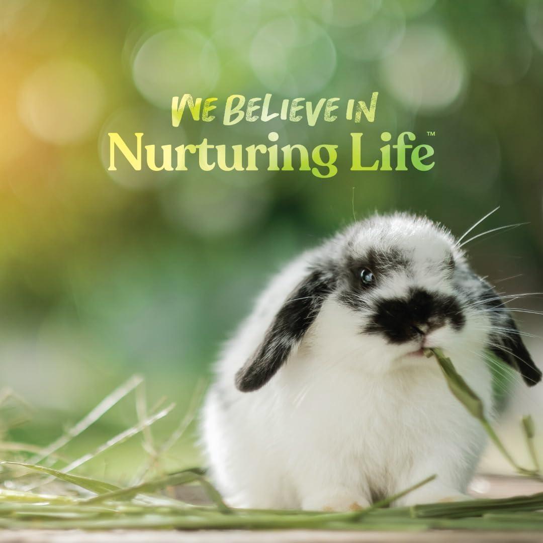 Comida para Conejos Small World 4.54 kg - Alimento Completo y Fortificado