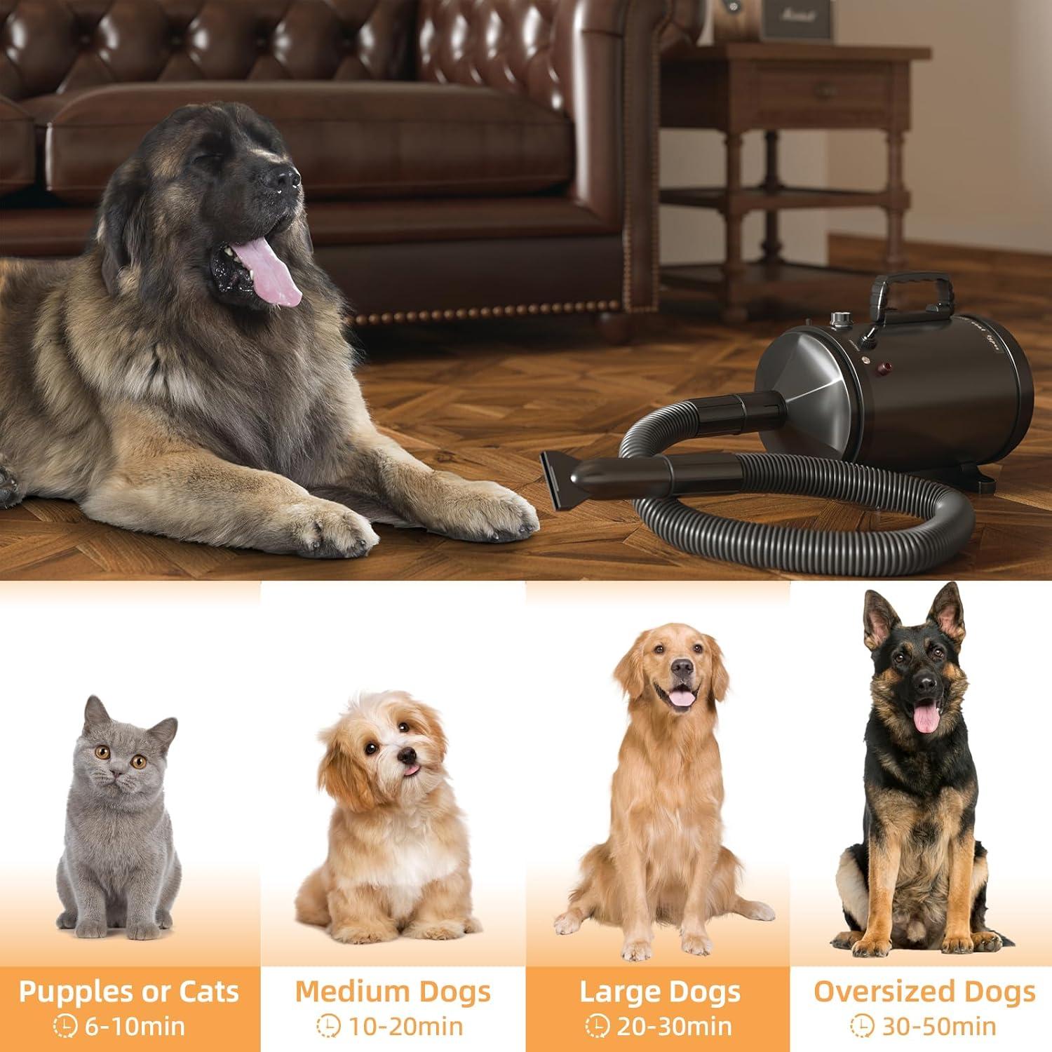 Secador Profesional para Mascotas COTUBLR Negro 4 Boquillas