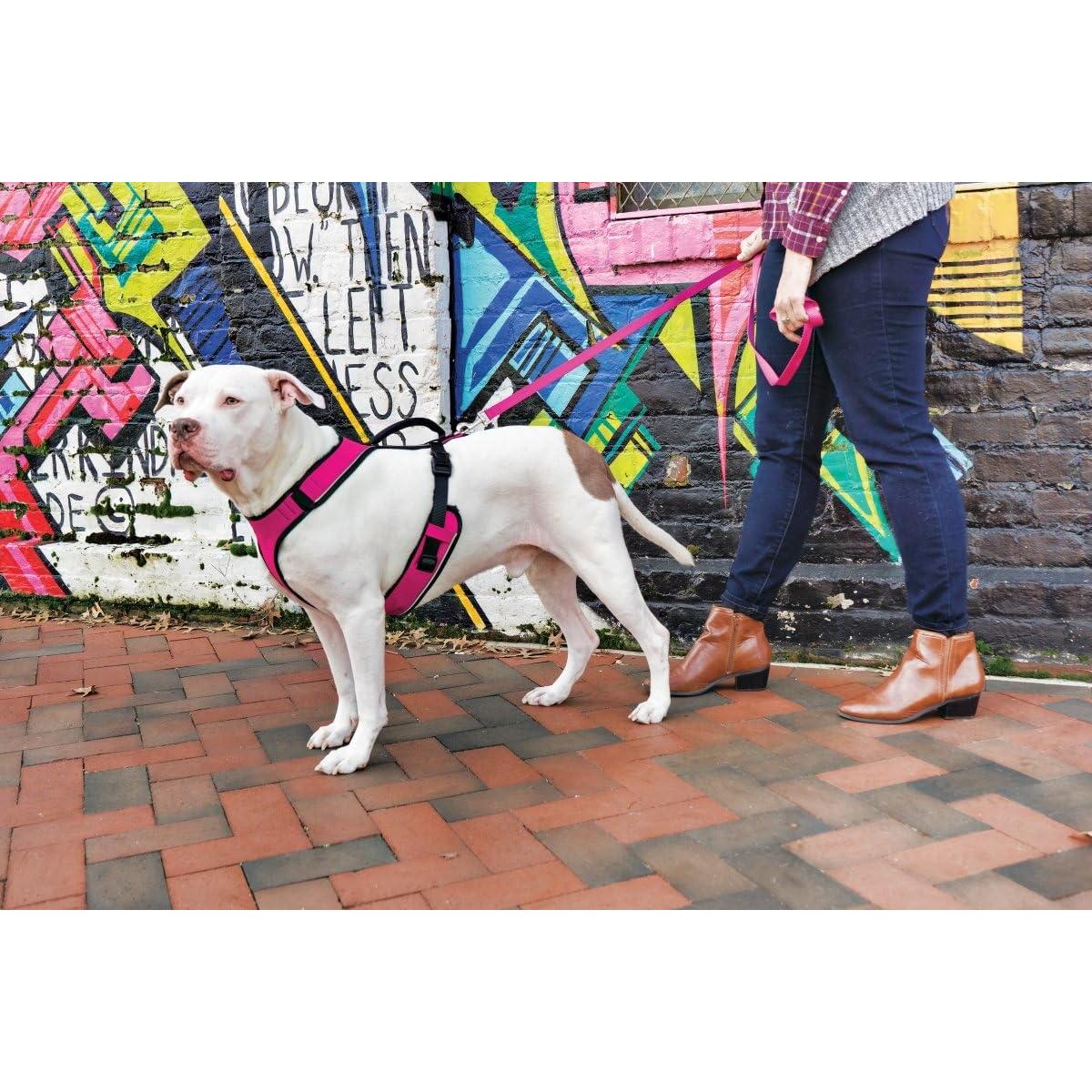 Arnés para Perros PetSafe EasySport Ajustable Acolchado Rosa