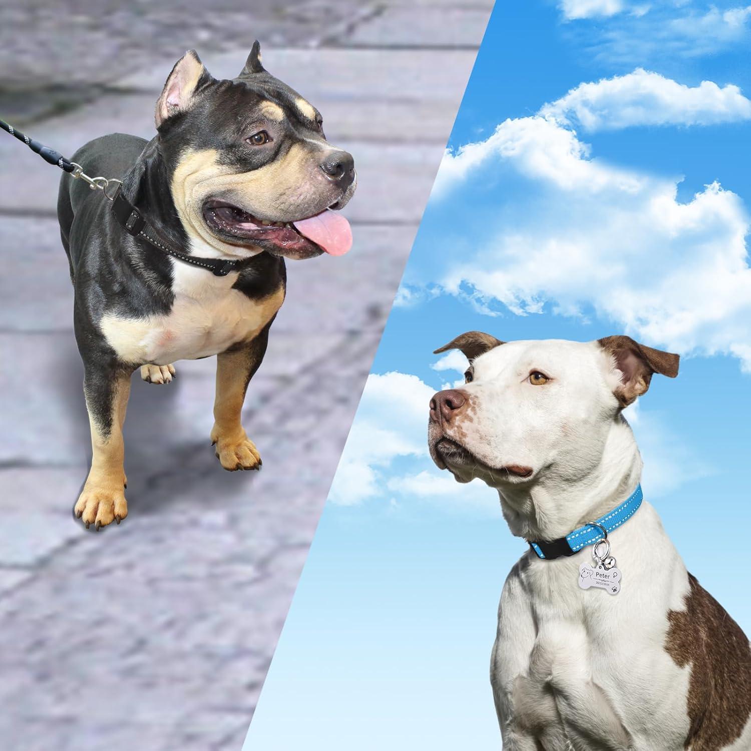 Correa de Reemplazo PaiPaitek para Collares de Entrenamiento - Reflectante y Duradera, 2 Paquetes