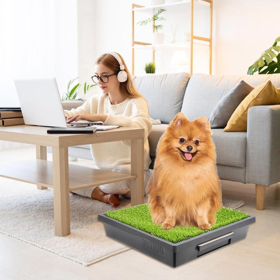 Paquete de 10 bandejas desechables Pee-Pod PetSafe con esponja